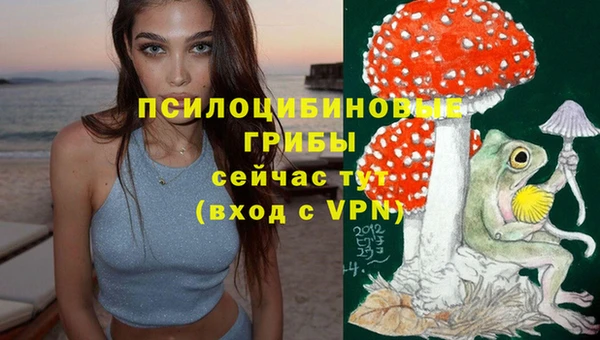 трава Абинск
