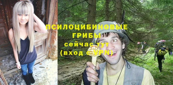 молекула духа Алзамай