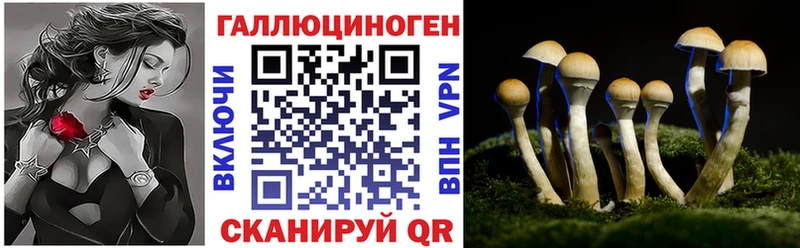 сколько стоит  Пошехонье  Галлюциногенные грибы MAGIC MUSHROOMS 