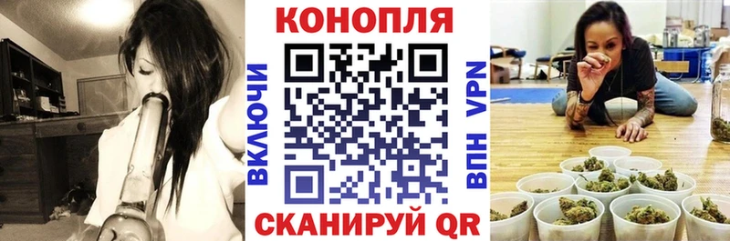 Бошки марихуана Ganja  Пошехонье 